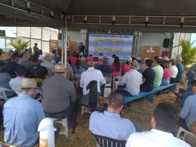 Dia de Campo da Coprossel teve uma Ã³tima participaÃ§Ã£o dos associados